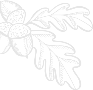 Decorative leaf design - Hot Gelato branding element
