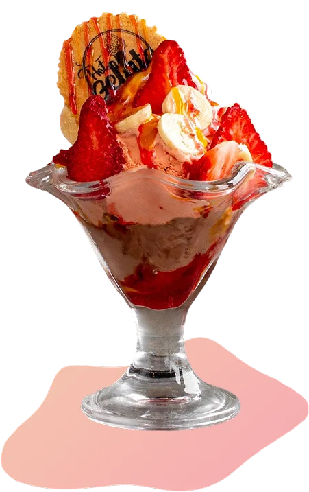 What Makes Us Special